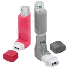 Inhaler Penjimin