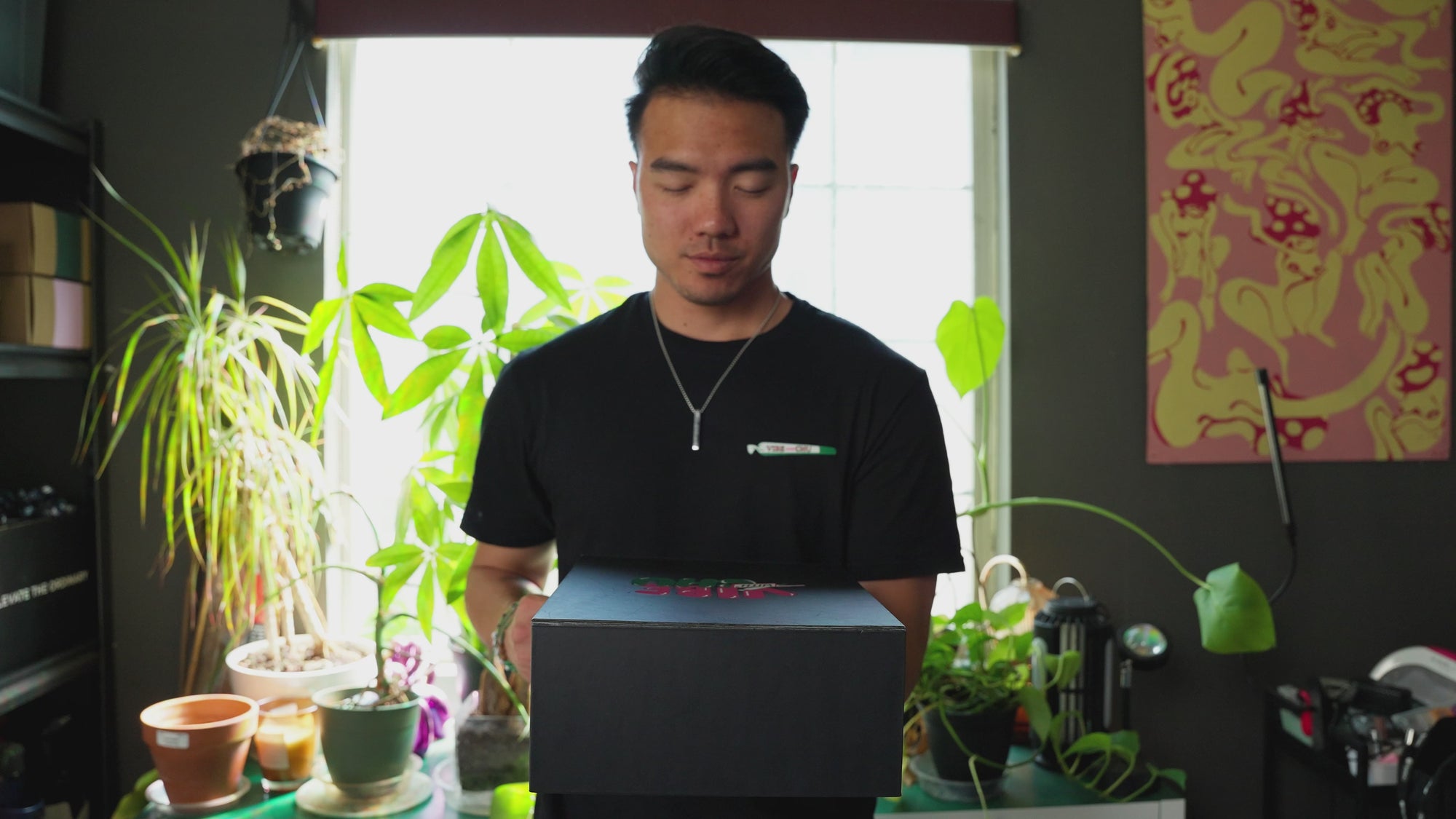 Vibe open Box